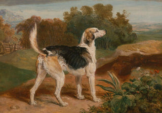 James Ward - Ravager One of the Lambton Hounds.webp