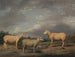 van Ryelands Schilderij, de ram van de koning, de schaap van de koning en de ram van Lord Somerville - James Ward — weergave van het kunstwerk