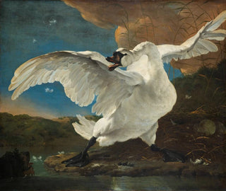 De bedreigde zwaan - Jan Asselijn — weergave van het kunstwerk