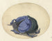 Blauwe Scarabee - Jan Augustin van der Goes — weergave van het kunstwerk