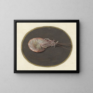 Jan Augustin van der Goes - Garnaal.webp