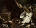 Natuurstudie met paddenstoelen - Jan Baptist Bouttats — weergave van het kunstwerk