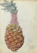Ananas - Jan Brandes — weergave van het kunstwerk
