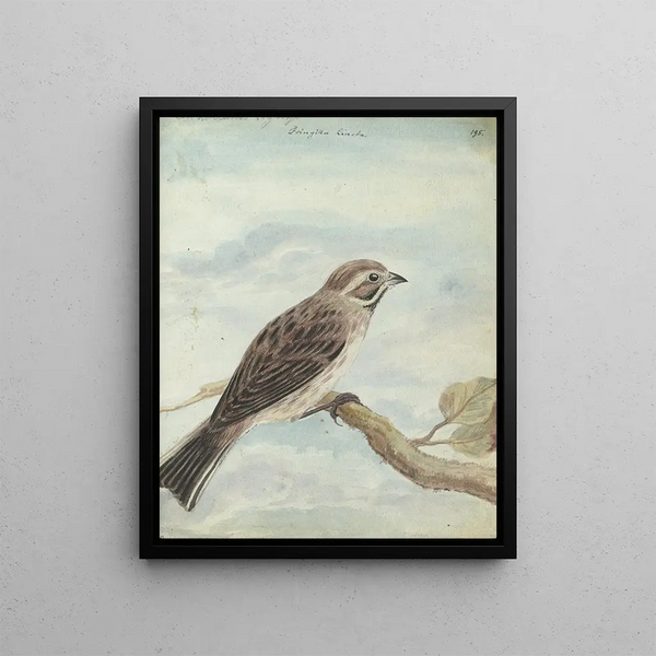 Jan Brandes - Hollandse vogel.webp