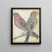 Zweedse Vogels - Jan Brandes — ingelijst kunstwerk aan de muur