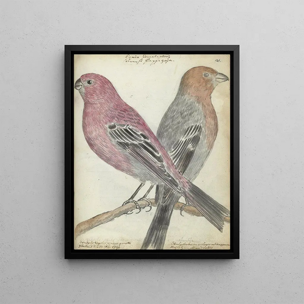 Jan Brandes - Zweedse vogels.webp