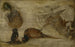 Studie van apen, een hert en andere dieren - Jan Brueghel de Jonge — weergave van het kunstwerk