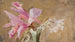 Orchid Flower Painting - Jan Cybis — artwork view