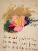 Rose Painting - Jan Cybis — artwork view
