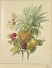 Een ananas, pruimen en frambozen - Jan Evert Morel — weergave van het kunstwerk