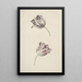 Twee witte en rode tulpen - Jan Jansz van der Vinne — ingelijst kunstwerk aan de muur