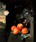 Natuurschilderij met abrikozen en vlinders - Jan Mortel — weergave van het kunstwerk