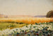 Koolraapveld - Jan Stanisławski — weergave van het kunstwerk