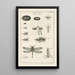 L: Kunstdruk van het boek van de natuur of L'histoire des insectes Pl12 - Jan Swammerdam — ingelijst kunstwerk aan de muur