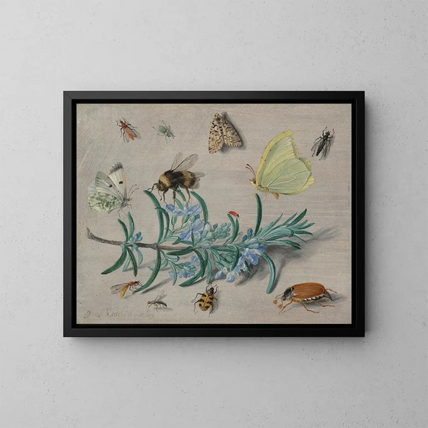 Insects and a sprig of rosemary - Jan van Kessel the Elder — framed artwork on a wall