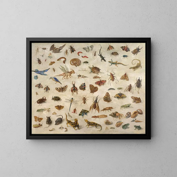 insects, amphibians, shells, and mice - Jan van Kessel the Elder — framed artwork on a wall