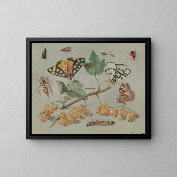 Study of butterflies and insects - Jan van Kessel the Elder — framed artwork on a wall