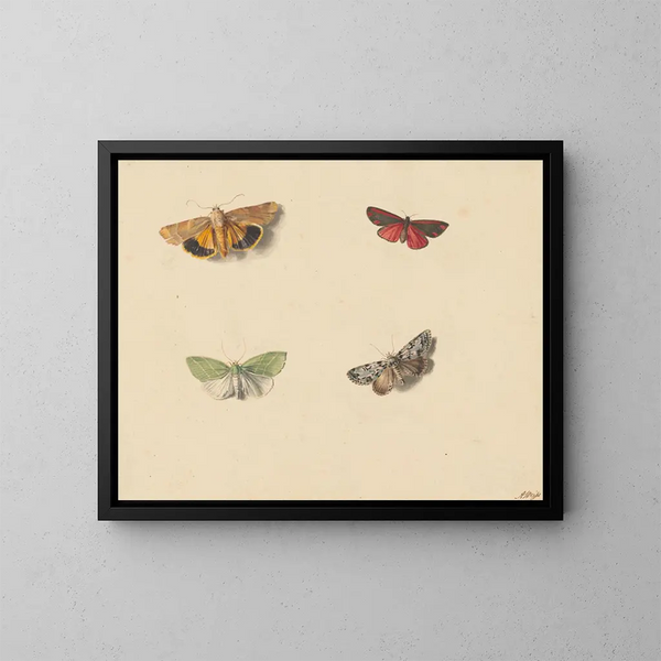 Four butterflies - Jan Weissenbruch — framed artwork on a wall