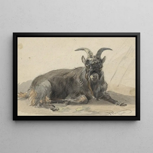 Jan van Ravenswaay - Liggende zwarte geitenbok.webp