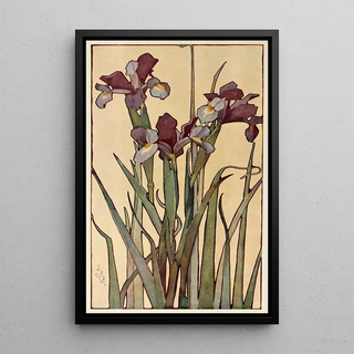 Jane P Baker - Iris.webp