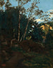 Bosquet d’arbres parmi les rochers, Civita Castellana - Jean - Baptiste Camille Corot — weergave van het kunstwerk