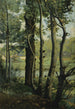 Les Evaux près Château-Thierry chemin bordé d'arbres - Jean-Baptiste-Camille Corot — weergave van het kunstwerk