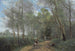 Ville d'Avray, le cavalier à l'entrée du bois - Jean-Baptiste-Camille Corot — artwork view
