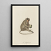 L'Aigrette - Jean-Baptiste Audebert — framed artwork on a wall