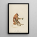 Le Kahau - Jean-Baptiste Audebert — framed artwork on a wall