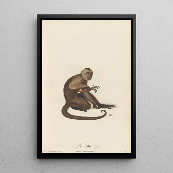 JeanBaptiste Audebert - Le Sai.webp