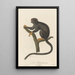 Le Tamarin - Jean-Baptiste Audebert — ingelijst kunstwerk aan de muur