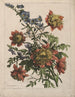 Bouquet - Jean-Baptiste Monnoyer — artwork view
