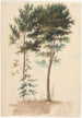 Trees - Jean-Baptiste Pillement — artwork view