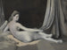 Odalisque in grijstinten - Jean-Auguste-Dominique Ingres — weergave van het kunstwerk