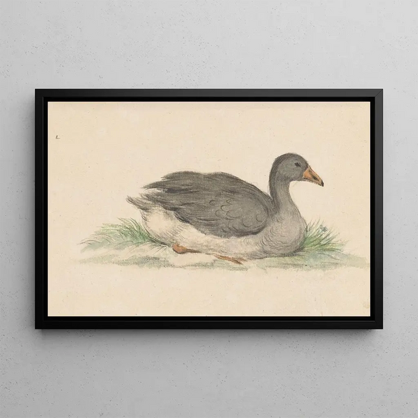 Duck to the right - Jean Bernard — framed artwork on a wall