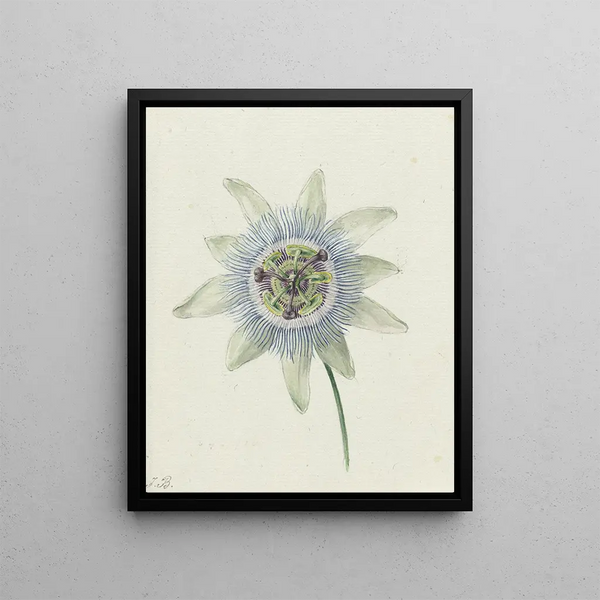 Flower of Passion - Jean Bernard — framed artwork on a wall