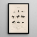 Insectes recueillis en Afrique et en Amérique Pl17 - Jean Gabriel Prêtre — framed artwork on a wall