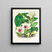 Bifrenaria harrisoniae - Jean Jules Linden — ingelijst kunstwerk aan de muur
