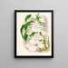 Catasetum bungerothi - Jean Jules Linden — ingelijst kunstwerk aan de muur