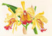 Cattleya aurea - Jean Jules Linden — weergave van het kunstwerk