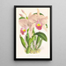 Cattleya Trianae - Jean Jules Linden — ingelijst kunstwerk aan de muur