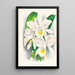 Cattleya Trianae var Pallida - Jean Jules Linden — ingelijst kunstwerk aan de muur