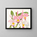 Cattleya eldorado - Jean Jules Linden — ingelijst kunstwerk aan de muur