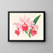 Cattleya gigas - Jean Jules Linden — ingelijst kunstwerk aan de muur