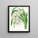 Meesters van de Cymbidium - Jean Jules Linden — ingelijst kunstwerk aan de muur