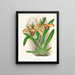 Cypripedium brillant - Jean Jules Linden — ingelijst kunstwerk aan de muur