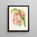 Cypripedium schroderae var. - Jean Jules Linden — ingelijst kunstwerk aan de muur