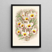 Dendrobium Falconeri - Jean Jules Linden — ingelijst kunstwerk aan de muur
