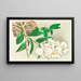 Dendrobium infundibulum - Jean Jules Linden — ingelijst kunstwerk aan de muur