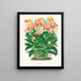Masdevallia est fougueux - Jean Jules Linden — ingelijst kunstwerk aan de muur
